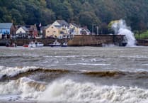 Power cuts, trees fall, roads blocked, street market cancelled as Storm Amy strikes