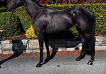 'Real jumps racing' starts at three-day Chepstow meeting