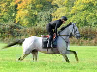 Plenty of good racing at Chepstow meeting 