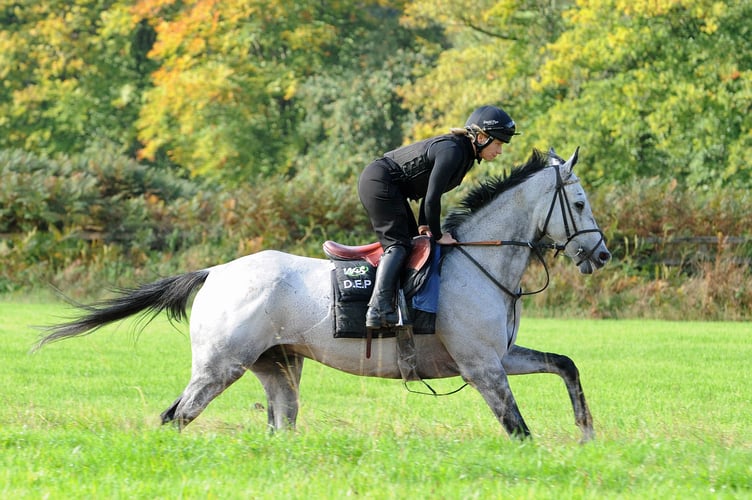 First Lord Du Cuet on the gallops