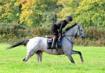 Plenty of good racing at Chetstow meeting