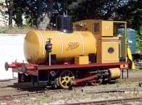 Rare engines the stars of WSR gala