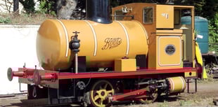 Rare engines the stars of WSR gala