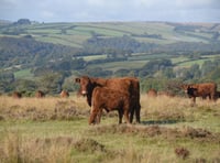 Letters to the Editor from around West Somerset