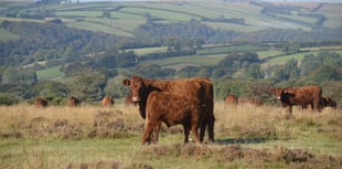 Letters to the Editor from around West Somerset