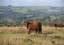 Letters to the Editor from around West Somerset