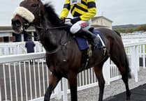 Order of the Dance in winning stable debut