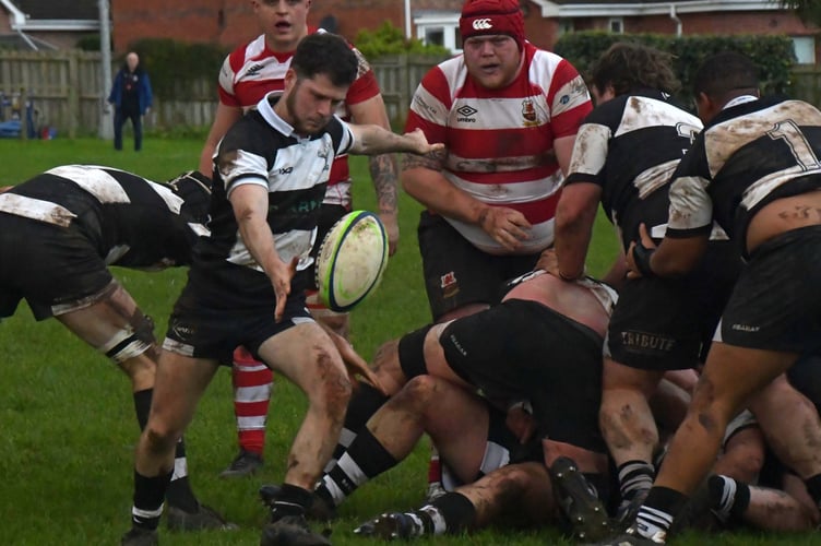 Minehead Barbarians back in rugby action
