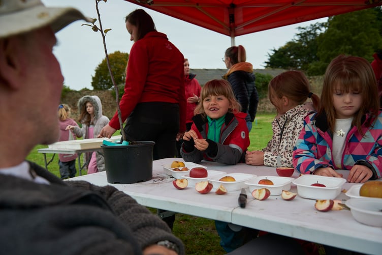 Local school children crushing and planting apple seeds for future apple orchard in their school grounds at Holnicote Estate's tree nursery, Somerset