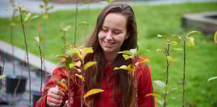 Years-long native tree planting project starts this month