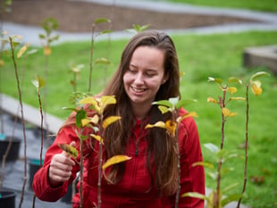 Years-long native tree planting project starts this month