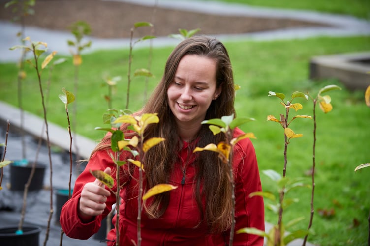 National Trust tree nursery officer Zoe Hill is overseeing the planting of 150,000 home-grown trees on Exmoor on the Holnicote estate.