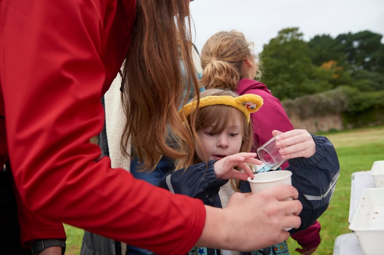 Local school children crushing and planting apple seeds for future apple orchard in their school grounds at Holnicote Estate's tree nursery, Somerset