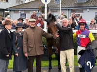 Gentleman Tobooot off to flyer on hurdling debut t 
