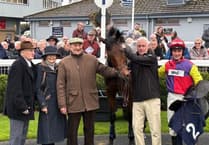 Gentleman Tobooot off to flyer on hurdling debut