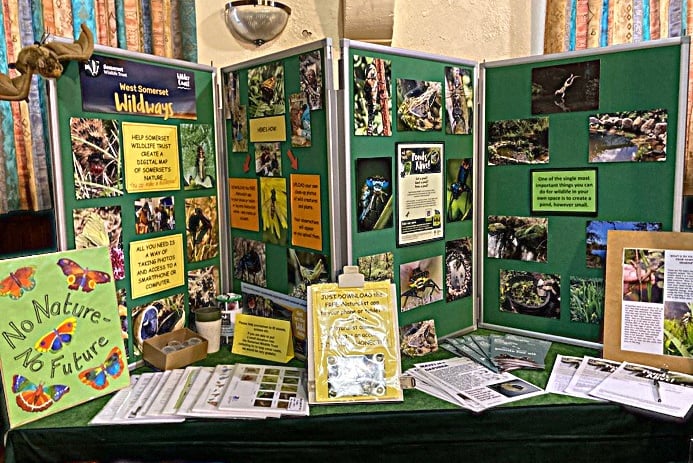 A stall at the Minehead Climate Fair supporting nature recovery.