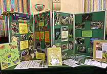 Minehead fair offers everyday tips on how to protect the climate