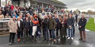 Kingston Queen makes winning hurdling debut 