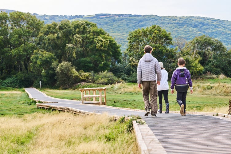 The new boardwalk at Porlock Marsh that children from a youth climate group helped design