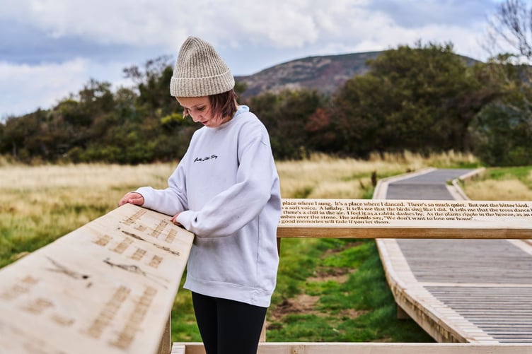 The new boardwalk at Porlock Marsh that children from a youth climate group helped design