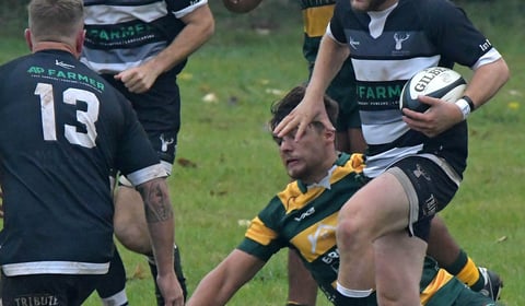 Minehead Barbarians chasing sixth successive rugby victory