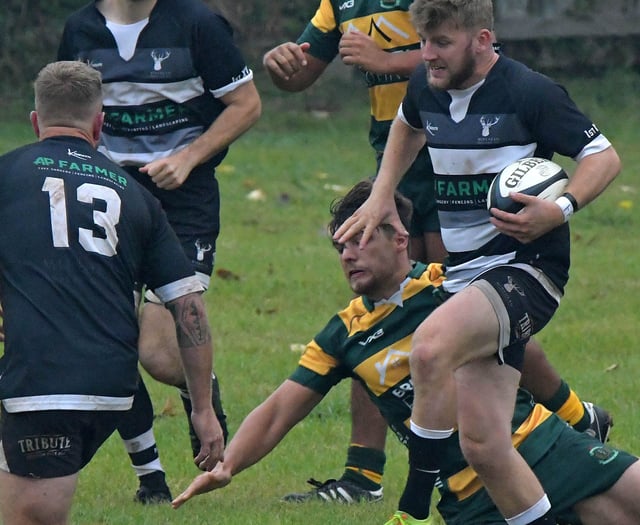 Minehead Barbarians chasing sixth successive rugby victory