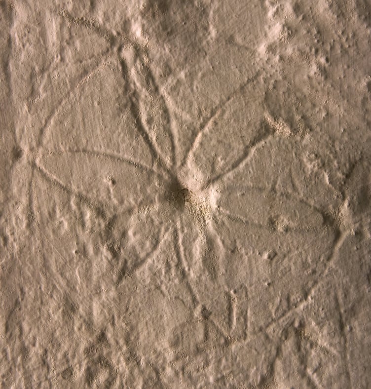 Daisy wheel protection mark inside Dunster Tithe Barn, Exmoor National Park