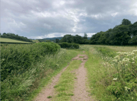 Walking and cycling route will link communities