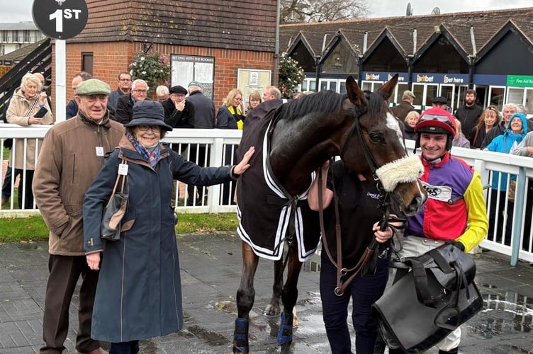 Harry Junior - a winner at Lingfield