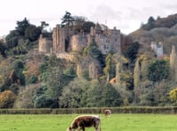 Spend a day with Dunster Castle’s head gardener