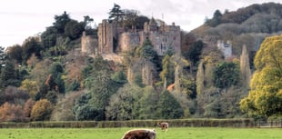 Spend a day with Dunster Castle’s head gardener