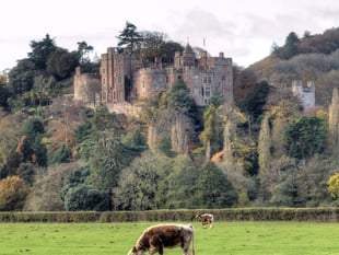 Spend a day with Dunster Castle’s head gardener