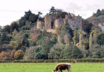 Explore Dunster Castle at exclusive experience day