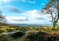 Consultation on plan to manage Quantock Hills for next five years