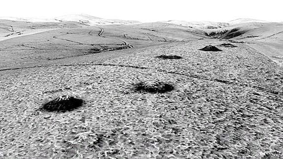 A LIDAR image showing Bronze Age barrows on Exmoor.
