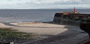 Letters from our readers in West Somerset