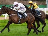 Golden Ace wins big prize money with surprise win 