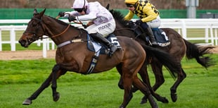 Golden Ace wins big prize money with surprise win 