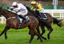 Golden Ace wins big prize money with surprise win