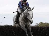 Indulto Rouge in 'pleasing' third-place debut race 