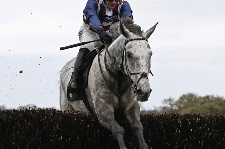 Royal Mer - up for sale