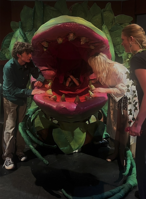 West Somerset College's production in the Regal of 'Little Shop of Horrors'.