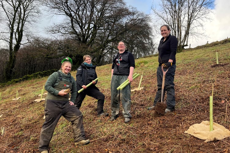 Some of Exmoor National Park Authority's tree planting team in action.