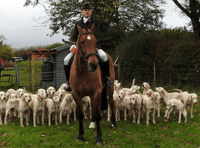 Festive hunt meet switches dates
