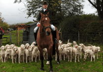 Newly merged Harriers to take hounds to Wiveliscombe for New Year's Day meet