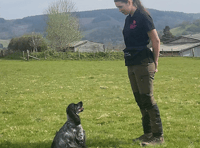 Young entrepreneur Zoe in national awards finals