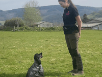 Young entrepreneur Zoe in national awards finals