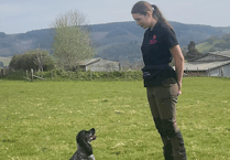 Running three businesses has Timberscombe's Zoe Heard shortlisted for national award