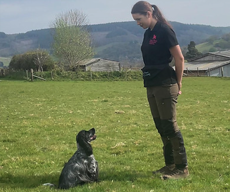 Timberscombe dog trainer and groomer Zoe Heard has been shortlisted for a national business award.