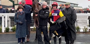 Improving Gentleman Roboot wins again over hurdles 